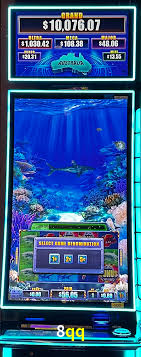 Bônus Generosos e Exclusivos no 8qq para Você!